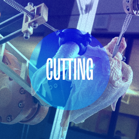 R1 Robotics Cutting