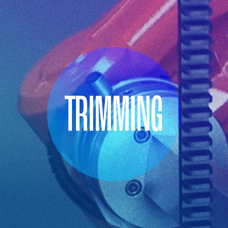 R1 Robotics 
Trimming