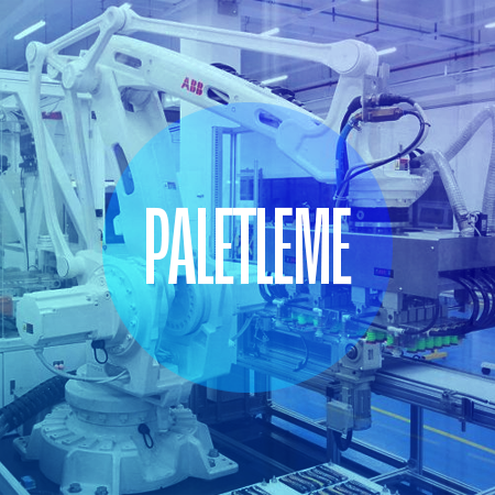 R1 Robotics Paletleme