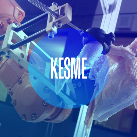 R1 Robotics Kesme